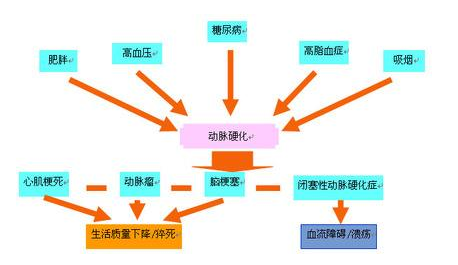 动脉粥样硬化和冠状动脉粥样硬化